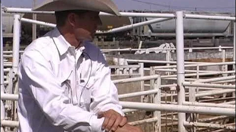 Curt Pate Low Stress Cattle Handling -  Part 3