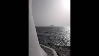 Jay-Jay Johanson - Why Wait Until Tomorrow