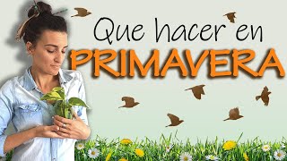 🍲🌽 Maintain your HEALTH this SPRING 🌻 Characteristics of Spring according to Chinese Medicine 🌱 🍲🌽 Maintain your HEALTH this SPRING 🌻 Characteristics of Spring according to Chinese Medicine 🌱
