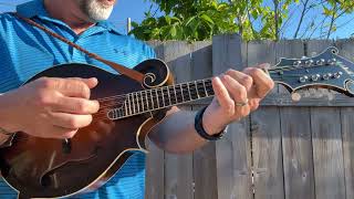Celebrity Monroe on the Patio #15 — Hawk is a Mule on a Gilchrist F5 mandolin Profile