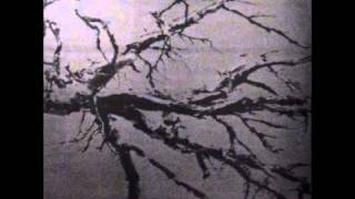 Fleshpress - Jumibian Bongoloid