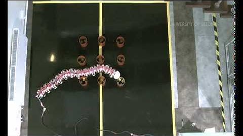 The Worm-Bot that Turns