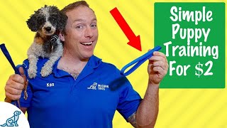 This $2 Tool Will Change EVERYTHING In Your Puppy Training!