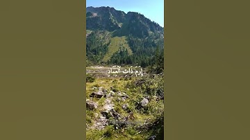 ماتيسر من سوره الفجر| أداء عبدالرحمن المسعودي❤️
