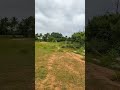 2.10 acre empty Land for sale, Mob: 7338474634, ₹2.5L /Gunta, 18km from Bidadi #bengaluru #youtuber