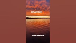 AYMMÊ (Evangelho de Fariseus) lyrics [letra]