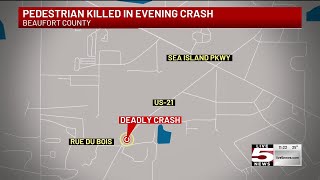VIDEO: 1 dead in Beaufort County auto-pedestrian crash