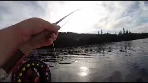 Late April Merrill Lake