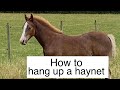 How to tie up  hang a haynet for your horse  karen badrick equestrian  horse tips