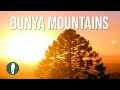 Bunya Mountains in HD