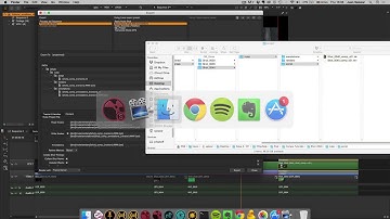Export Structure in NUKE STUDIO