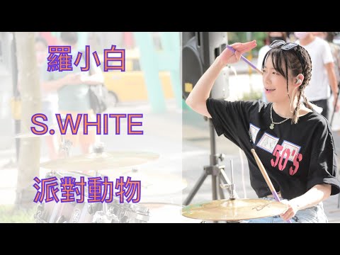 五月天《派對動物》街演#SEP | 羅小白 S.white