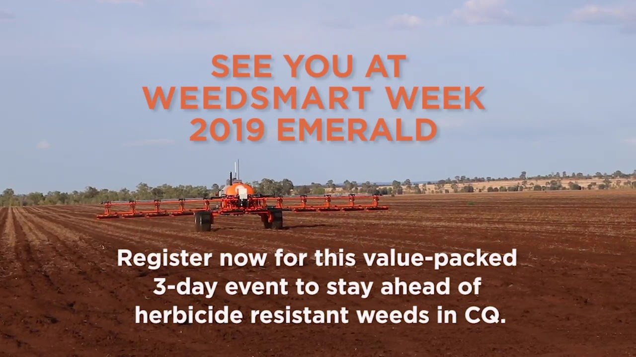 WSW Emerald field demoT