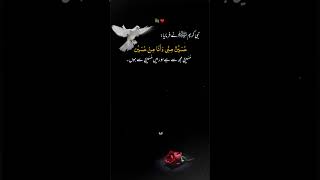 hadits. #hadith #quotes #hazratali #wisdom #unfreezmyaccout #shorts #shortsfeed #viral #trending