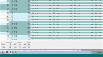 OptionVue Essentials with James Hogan August 8th, 2013