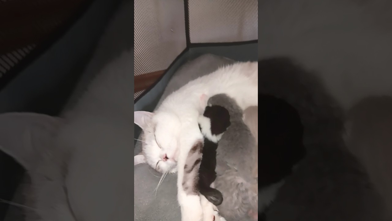 8 days old& growing  stronger 💪 