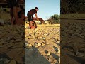 Suatu Senja