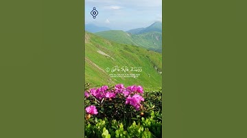 سورة الضحى | الآيات 5-10 | أحمد العجمي Surah Ad-Duha | Verses 5-10 | Ahmed Al Ajmi