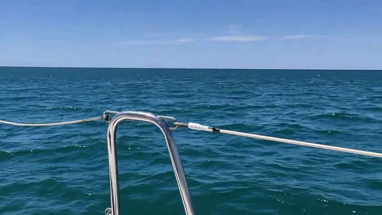 La belle vie très 