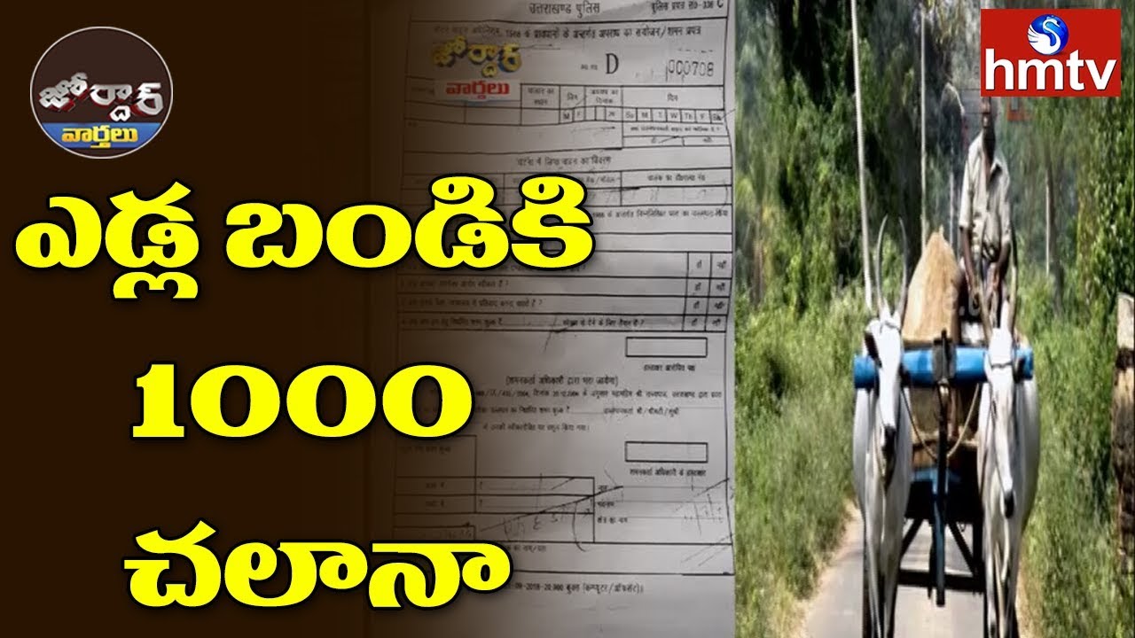 telugu news online live ఎడ్ల బండికి 1000 చలానా ! | Jordar News | hmtv Telugu News