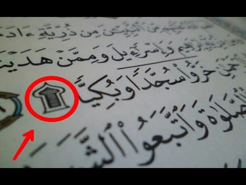 كم عدد السجدات في القرأن الكريم شاهد Youtube