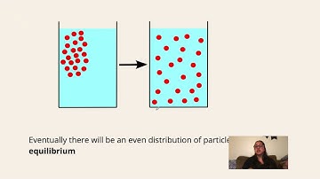 Lab 6 Diffusion and Osmosis