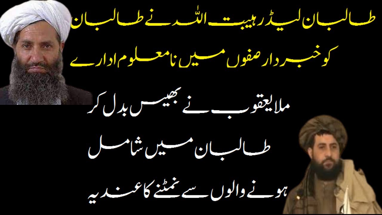 Taliban commander warns from agencies in group