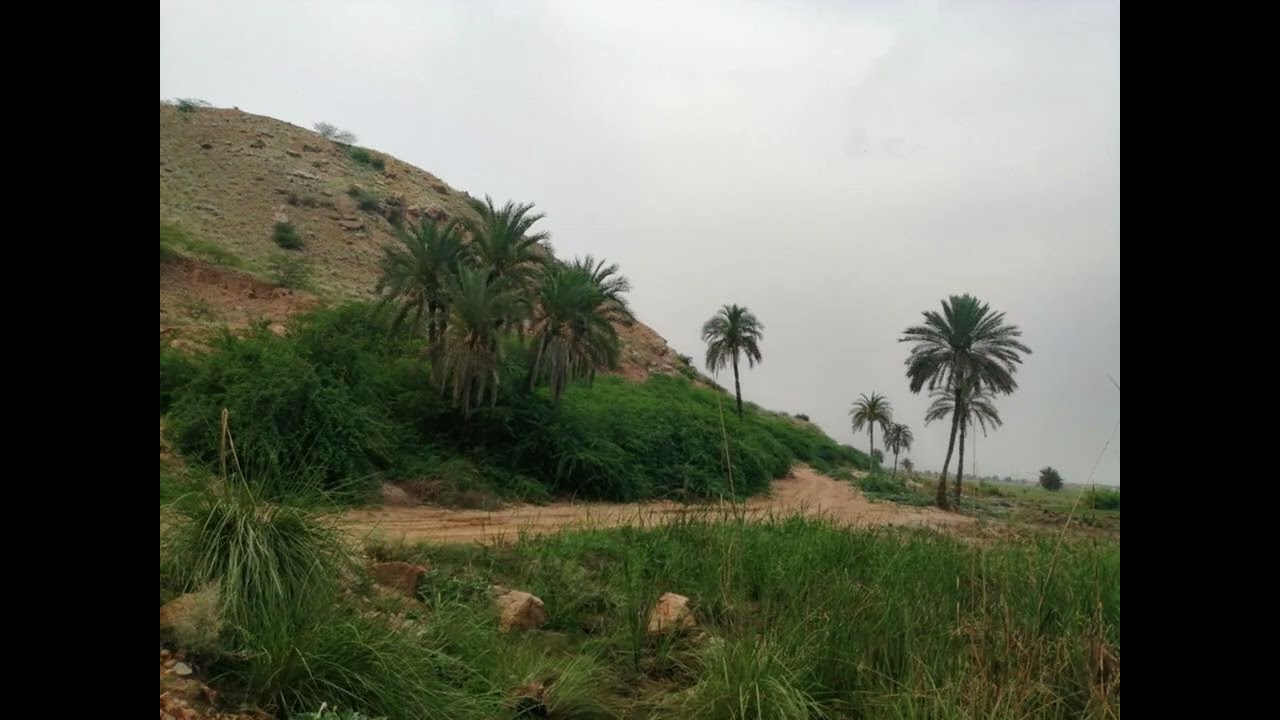 Exploring the Beauty of Dera Ismail Khan Pakistan 