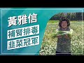 草地狀元-補腎排毒 韭菜冠軍(2022.10.24播出)