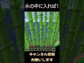水の中に入れば!#shorts #minecraft #マイクラ #ネタ#面白い#トラップ #ドッキリ