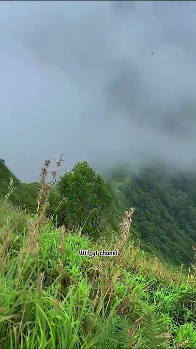 Di bukit indah berbunga#shorts #storywa #jalanyangjauhjanganlupapulang