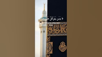القارئ ماهر المعيقلي سورة الطلاق (ومن يتق الله يجعله مخرجا ويرزقه من حيث لا يحتسب...)