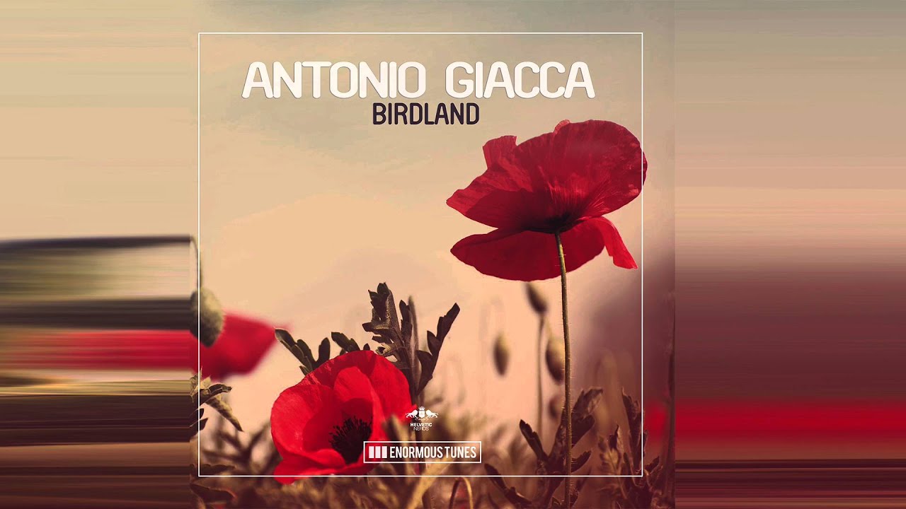 Antonio Giacca - Birdland (Original Mix) acordes