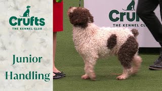 These dogs are adorable!!!  International Junior Handling Competition Part 1 | Crufts 2024