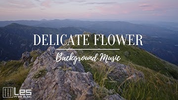 Delicate Flower : Solo Piano Nostalgic Peaceful Background Music
