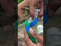 Smart Idea to Attach a Bigger Garden Hose to The Water Tap #shortvideo