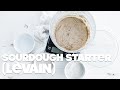 How to Make a Sourdough Starter Recipe (Levain) // FOOL PROOF PROCEDURES