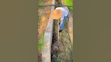 proses petani membersihkan saluran irigasi #shorts