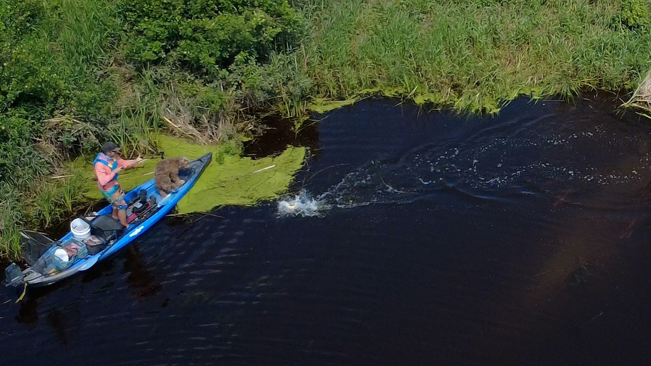 Getting FROGGY for Canadian Largemouth Bass
