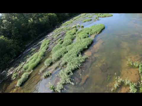 Shooting on the Cahaba River