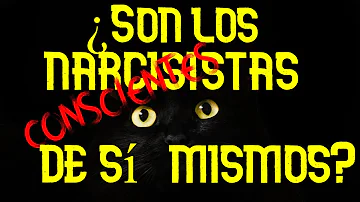 ¿Cómo hablan los narcisistas de sí mismos?