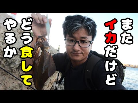 オーストラリアのイカとラムを共に食す #83
