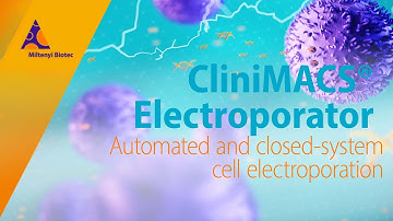 Automated and closed-system cell electroporation