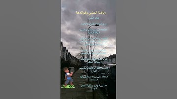 تلاوة عذبة رائعة للشيخ ماهر المعيقلي ماتيسر من سورة البينة
