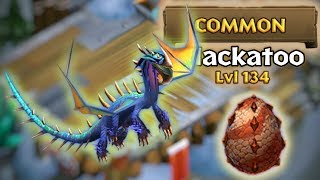 Hackatoo Max Level 134 An Mode Dragons Rise Of Berk
