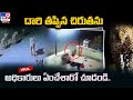 Viral video: Rescued leopard released in forest