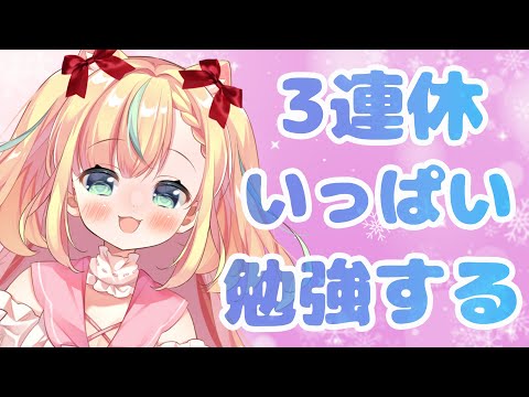 【Study with me ♡ 】３連休、一緒にいっぱい勉強しよう！【Vtuber／姫乃ありあ】