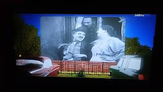 Si̇nema Tv - Bant Reklam, Ara Geçiş Logo, Kırmızı Halı Kuşağı Ve Akıllı İşaretler 7 Yaş Ve Üzeri