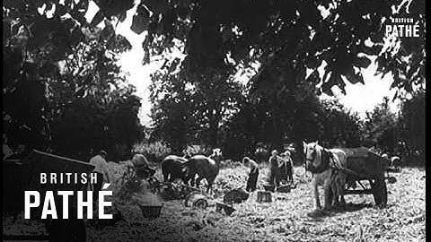 Harvest Uplift - Harvest Help (1944)