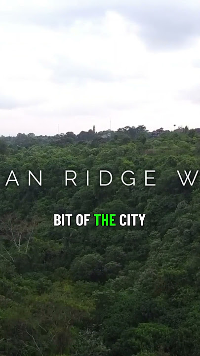 Things to do in Ubud, Bali 🇮🇩 - Campuhan Ridge Walk